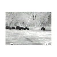 Armasight Predator 336 Thermal Imaging Riflescope-TAT176WN2PRED21