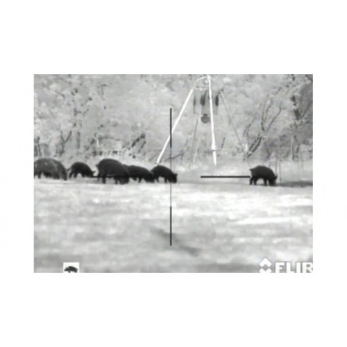 Armasight Predator 336 Thermal Imaging Riflescope-TAT176WN2PRED21