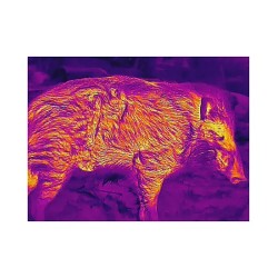 Guide Sensmart TU Series TU651 LRF 2.4-19.2x50mm 30mm Tube Thermal Rifle Scope and Range Finder TU651LRF