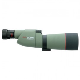 Kowa TSN-664M 66mm PROMINAR XD Spotting Scope (Straight Viewing, Green)