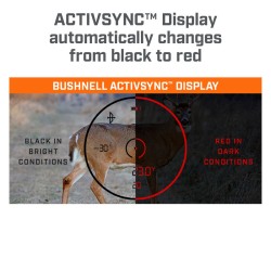 Bushnell 10x42 Fusion ARC Laser Rangefinder Binoculars
