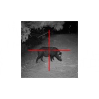 Sightmark Photon XT 6.5x50 Digital NV Riflescope SM18007-DEMO