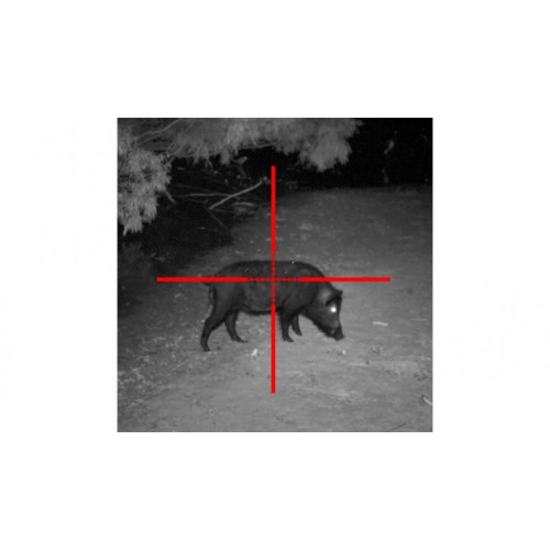 Sightmark Photon XT 6.5x50 Digital NV Riflescope SM18007-DEMO