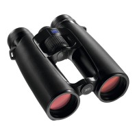 Zeiss Victory SF 10x42 Binoculars